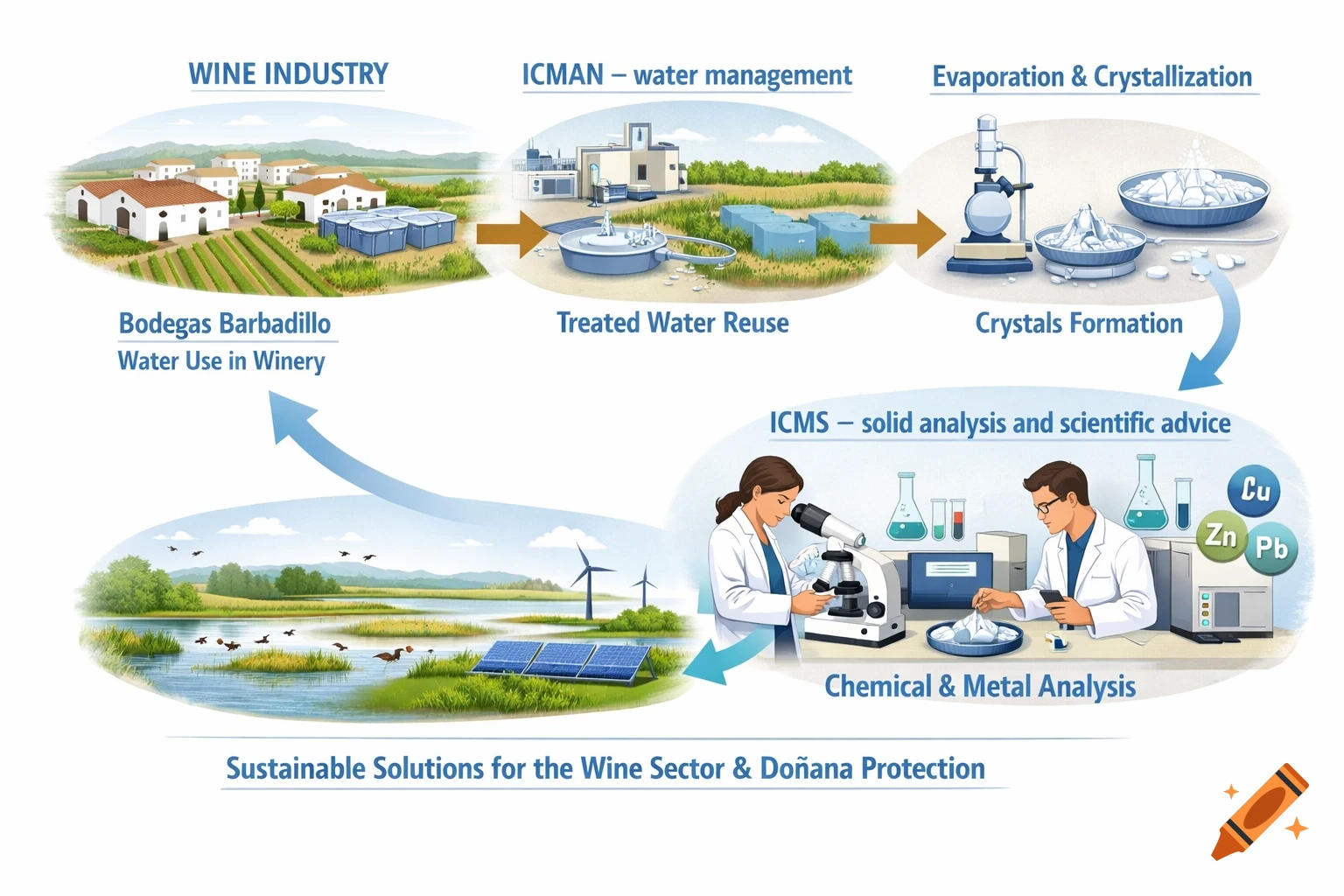 An infographic detailing water management in the wine industry, from a winery to water treatment, crystallization, and chemical analysis, emphasizing sustainability.