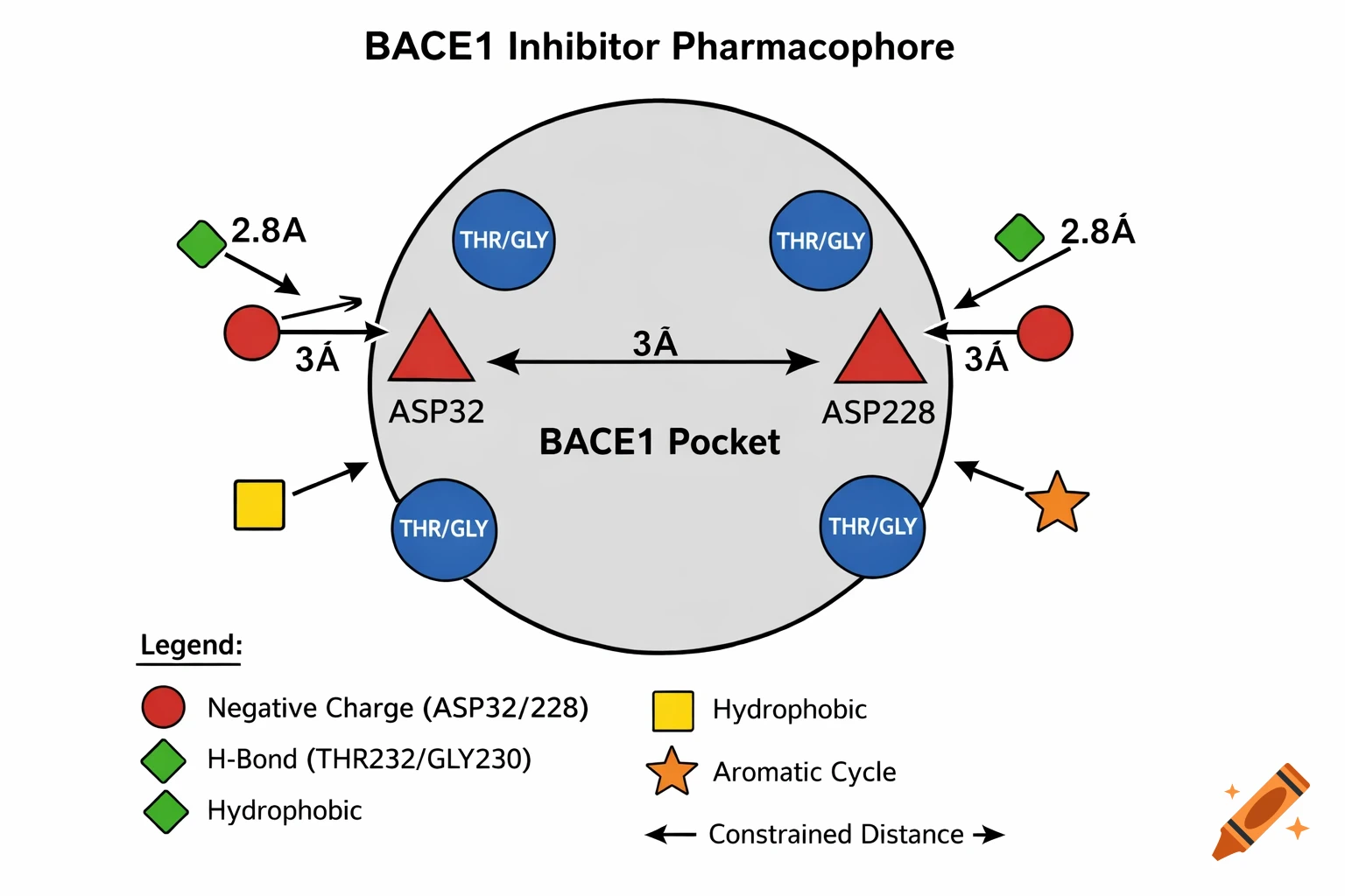 A flat 2D diagram illustrating a BACE1 inhibitor pharmacophore. A gray circle representing the BACE1 pocket contains red triangles labeled ASP32 and ASP228, and blue circles labeled THR/GLY. Various colored shapes like red circles, green diamonds, a yellow square, and an orange star are outside the pocket, with arrows indicating interactions and distances. A legend explains the symbols for negative charge, H-bond, hydrophobic, and aromatic cycle.