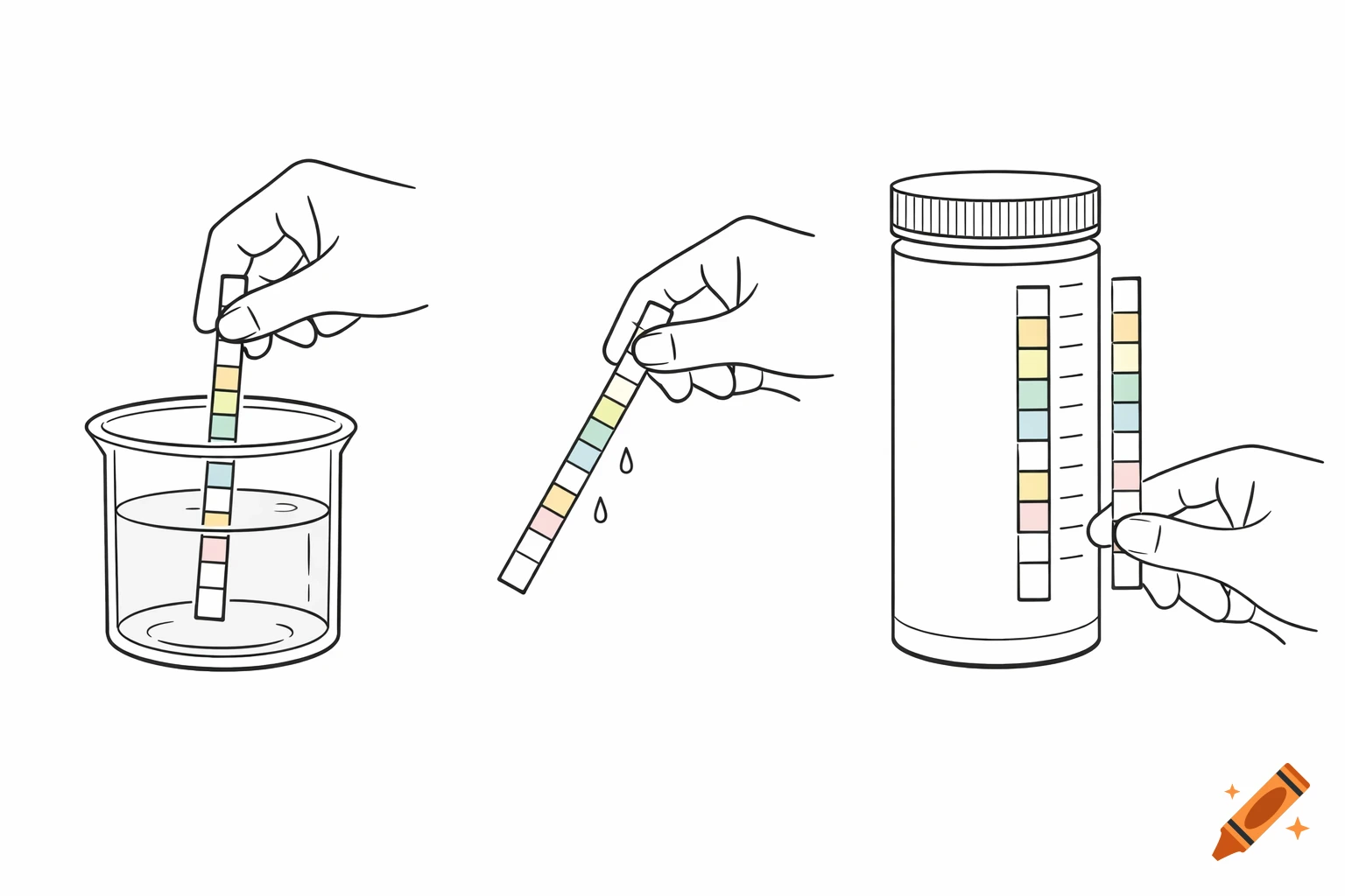 Line art illustration of hands performing a urine test: dipping a strip, holding it, then comparing it to a bottle's scale.