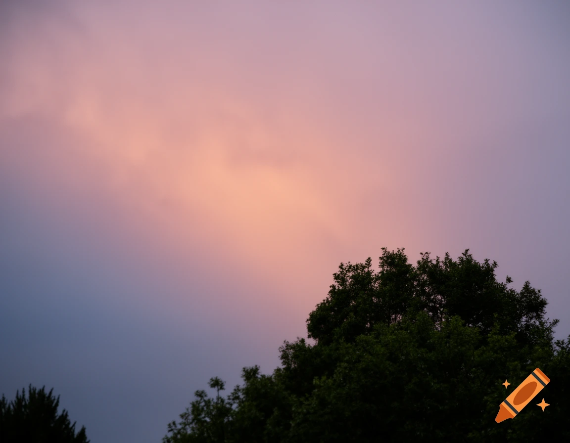 A colorful twilight sky with hues of pink, orange, and purple, with dark green tree tops silhouetted at the bottom.