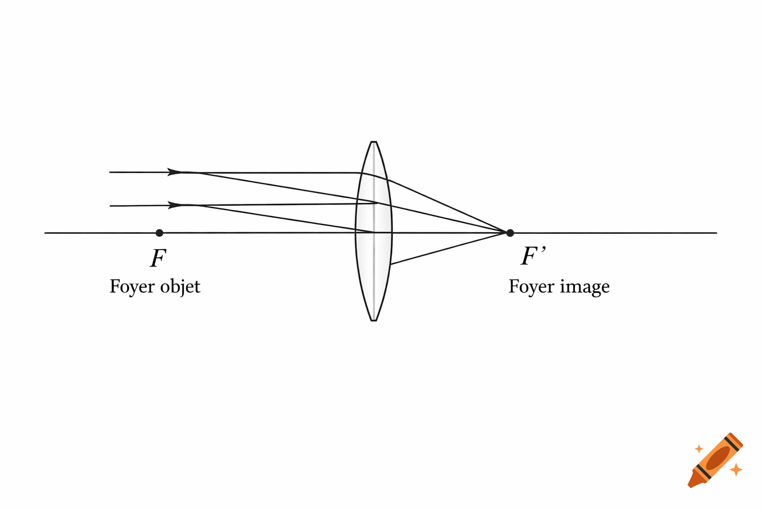 A scientific diagram illustrating a converging lens with parallel light rays refracting through the principal image focus F'. The object focus F is also shown, with labels in French.