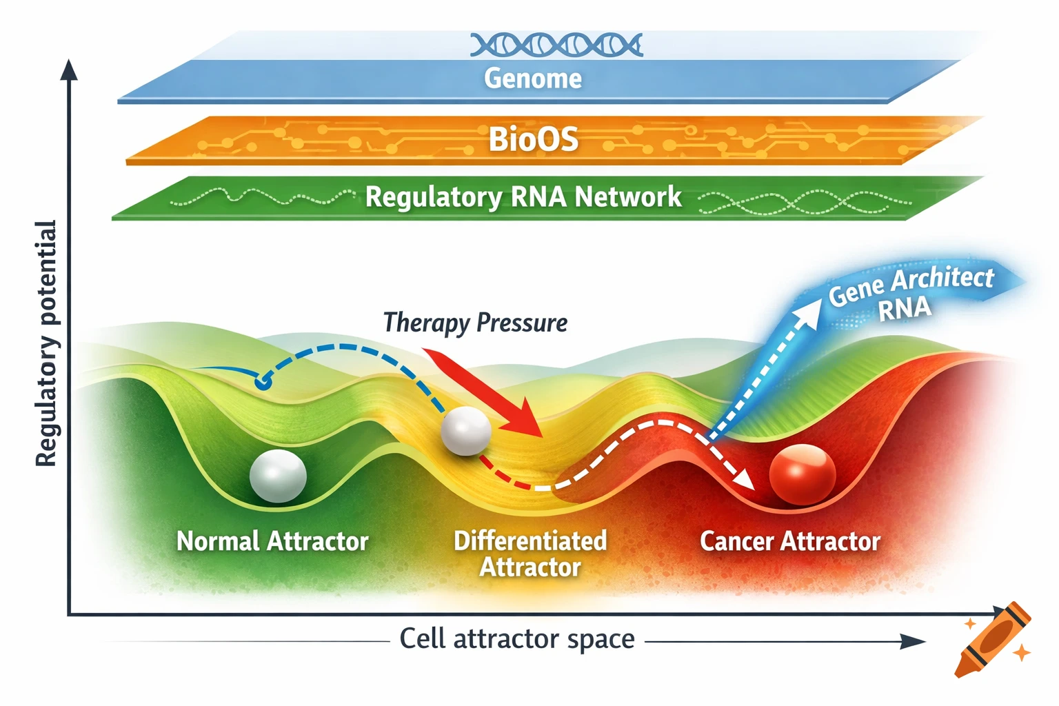 Scientific epigenetic landscape diagram showing cell attractor states, regulatory layers, and therapeutic intervention.