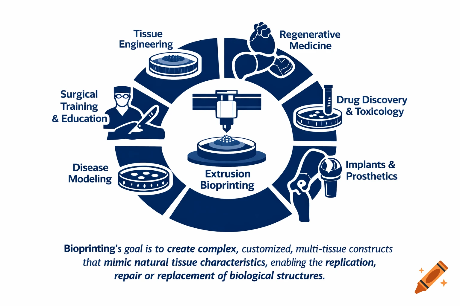 Diagram illustrating bioprinting applications: tissue engineering, regenerative medicine, drug discovery, implants, disease modeling, and surgical training.
