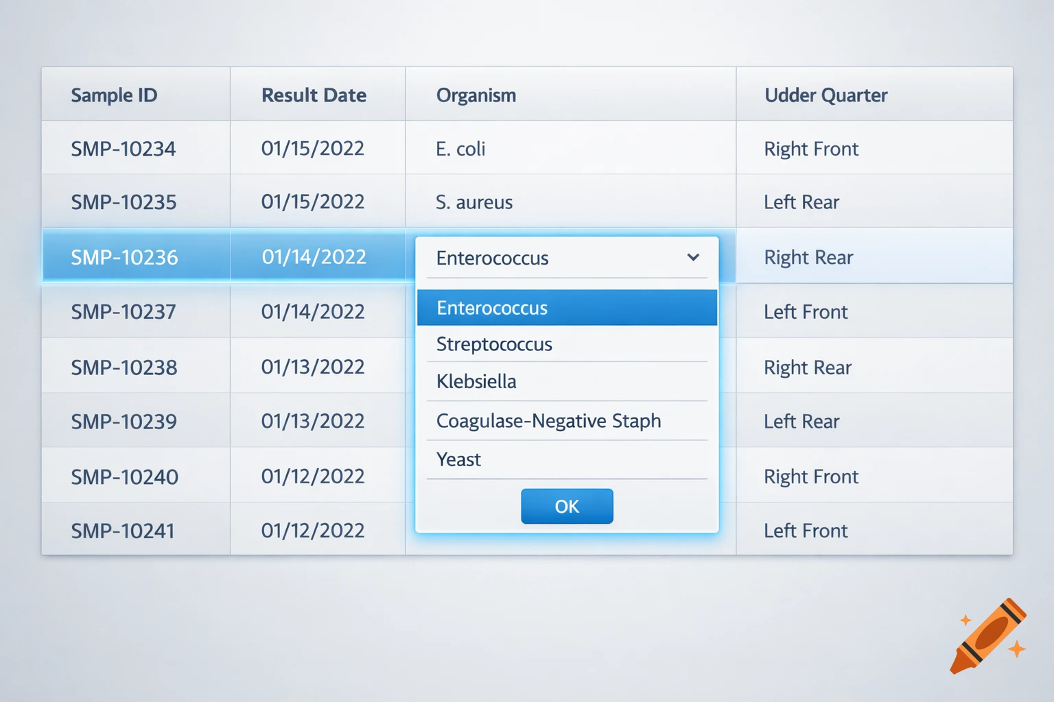 A digital user interface displaying a four-column table for organism results, including Sample ID, Result Date, Organism, and Udder Quarter. A dropdown menu is open under 'Organism', showing selectable options like Enterococcus, Streptococcus, and Klebsiella, with an 'OK' button below.
