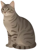 Cat sitting