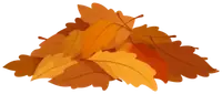 Fallen leaves pile