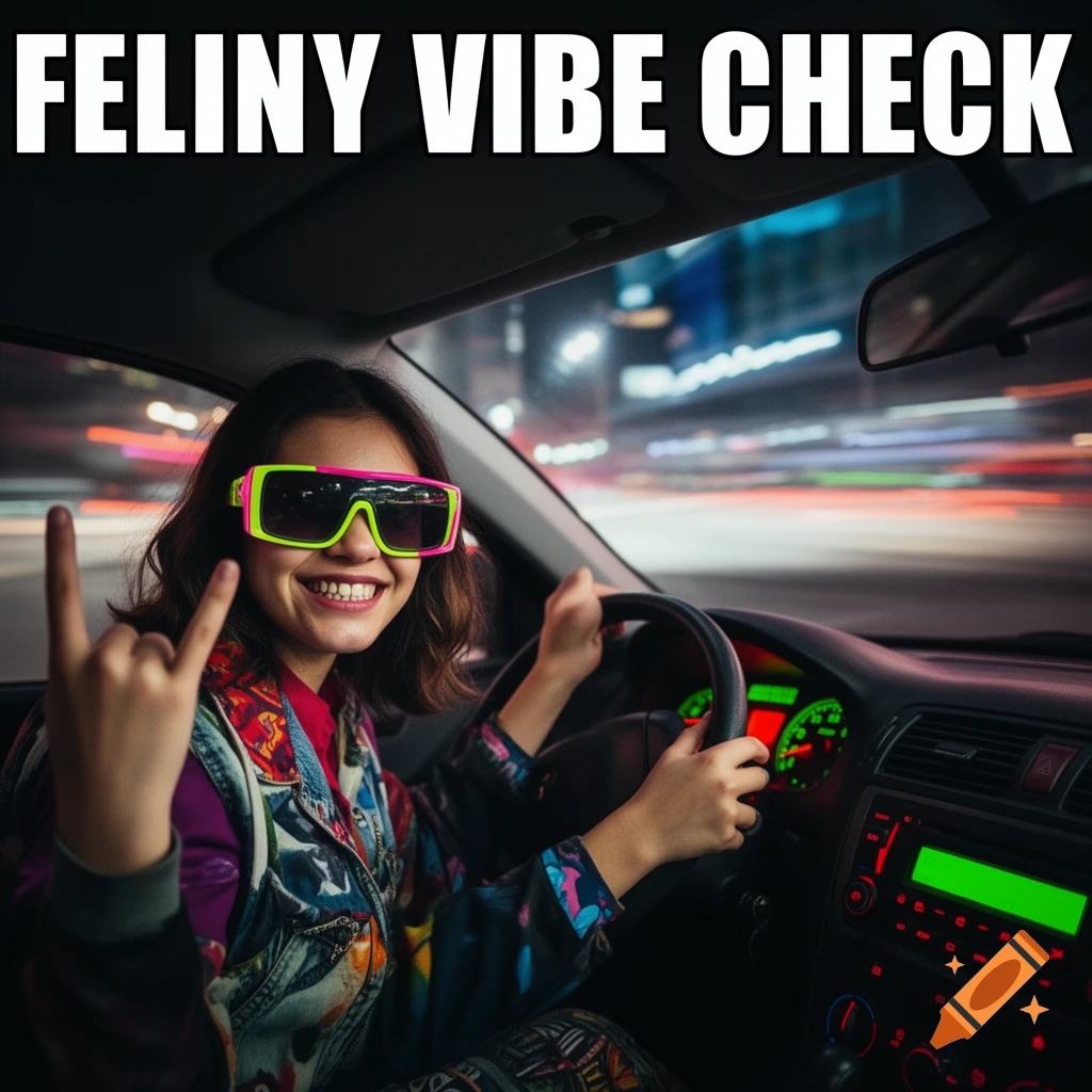Smiling person in large neon sunglasses making a rock-on gesture while driving, with "FELINY VIBE CHECK" text.