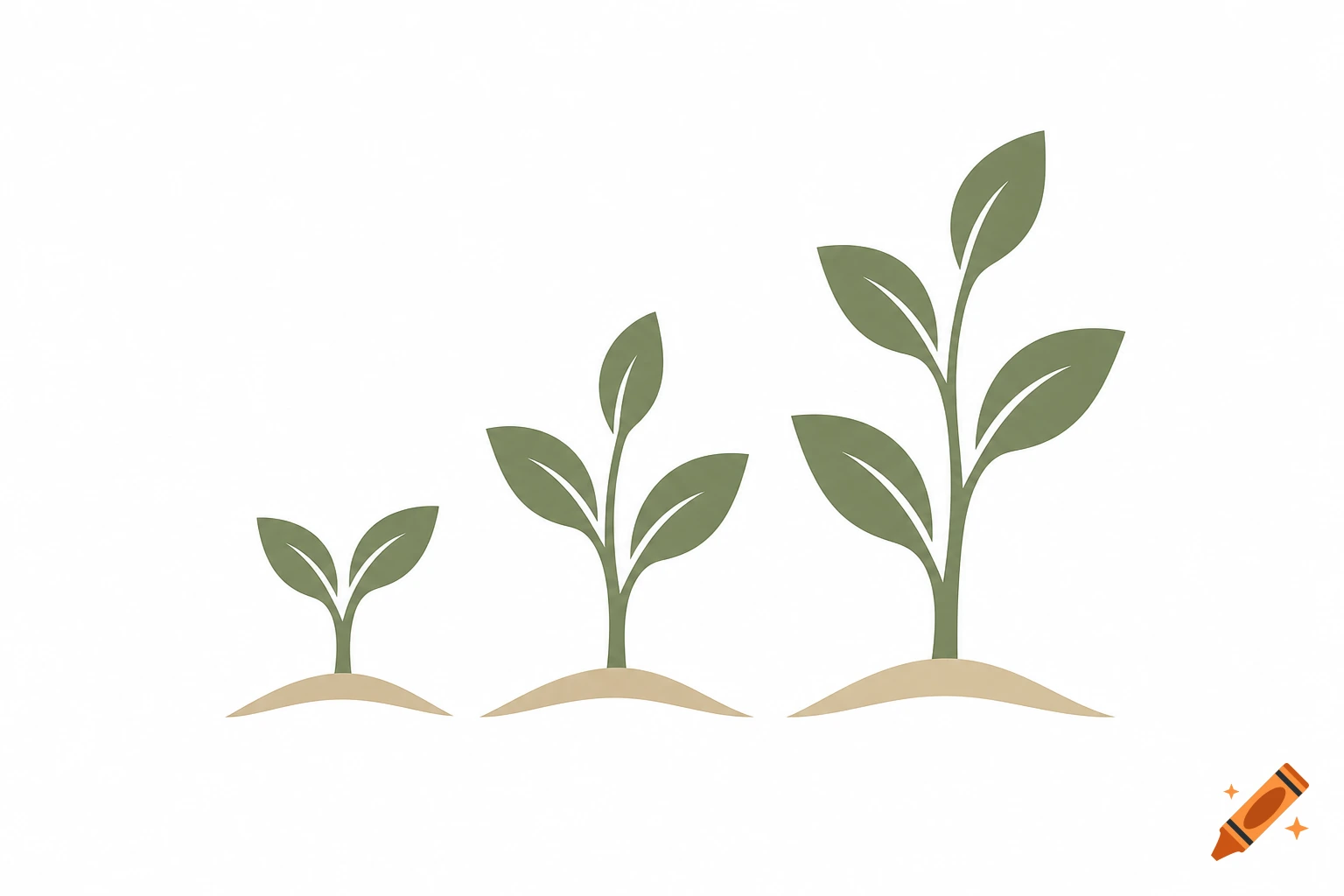 A simple graphic illustration showing three green plants growing from small to large, symbolizing growth.