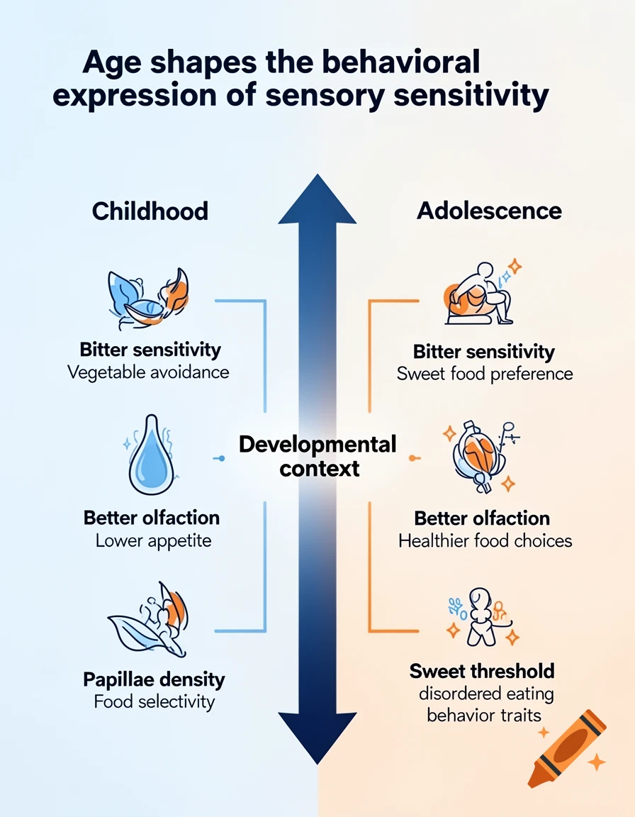 A scientific diagram titled "Age shapes the behavioral expression of sensory sensitivity" comparing sensory traits in Childhood and Adolescence.