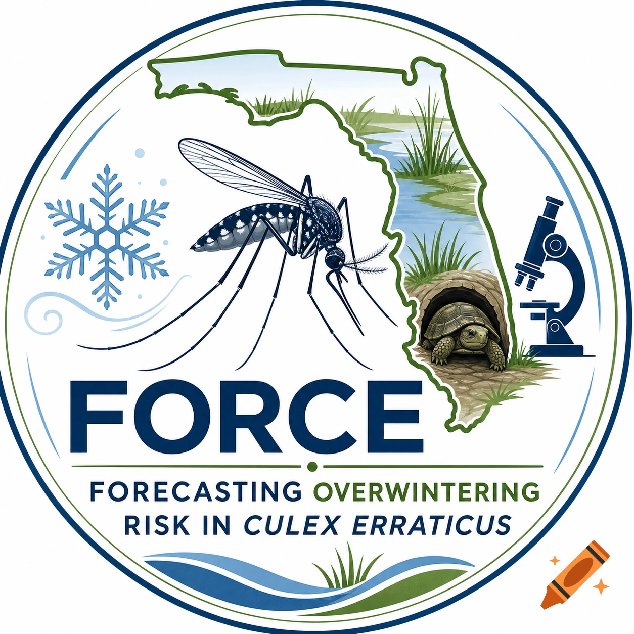 Logo for FORCE: Forecasting Overwintering Risk in Culex Erraticus, featuring a mosquito, Florida map, tortoise, snowflake, and microscope.