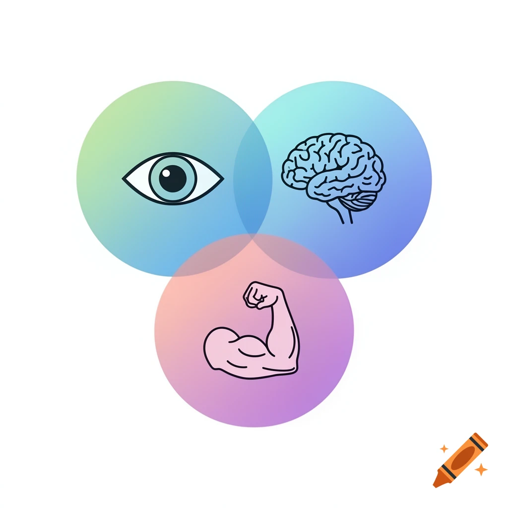 A Venn diagram with three overlapping gradient-colored circles, containing line art icons of an eye, a brain, and a flexing bicep.
