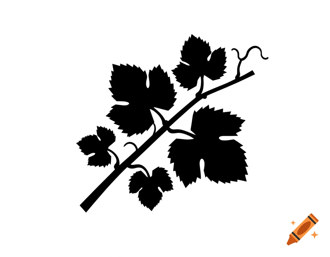 A black silhouette graphic of a grape vine branch with several leaves and a tendril on a white background.