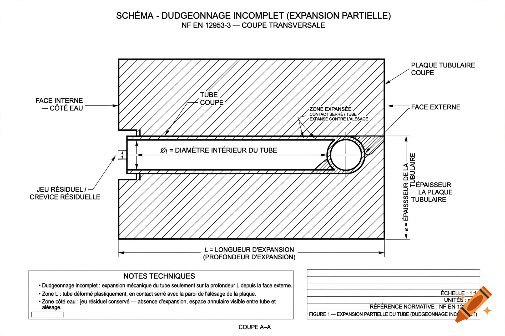 Engineering schematic diagram of a partial-depth tube expansion cross-section with French technical labels.