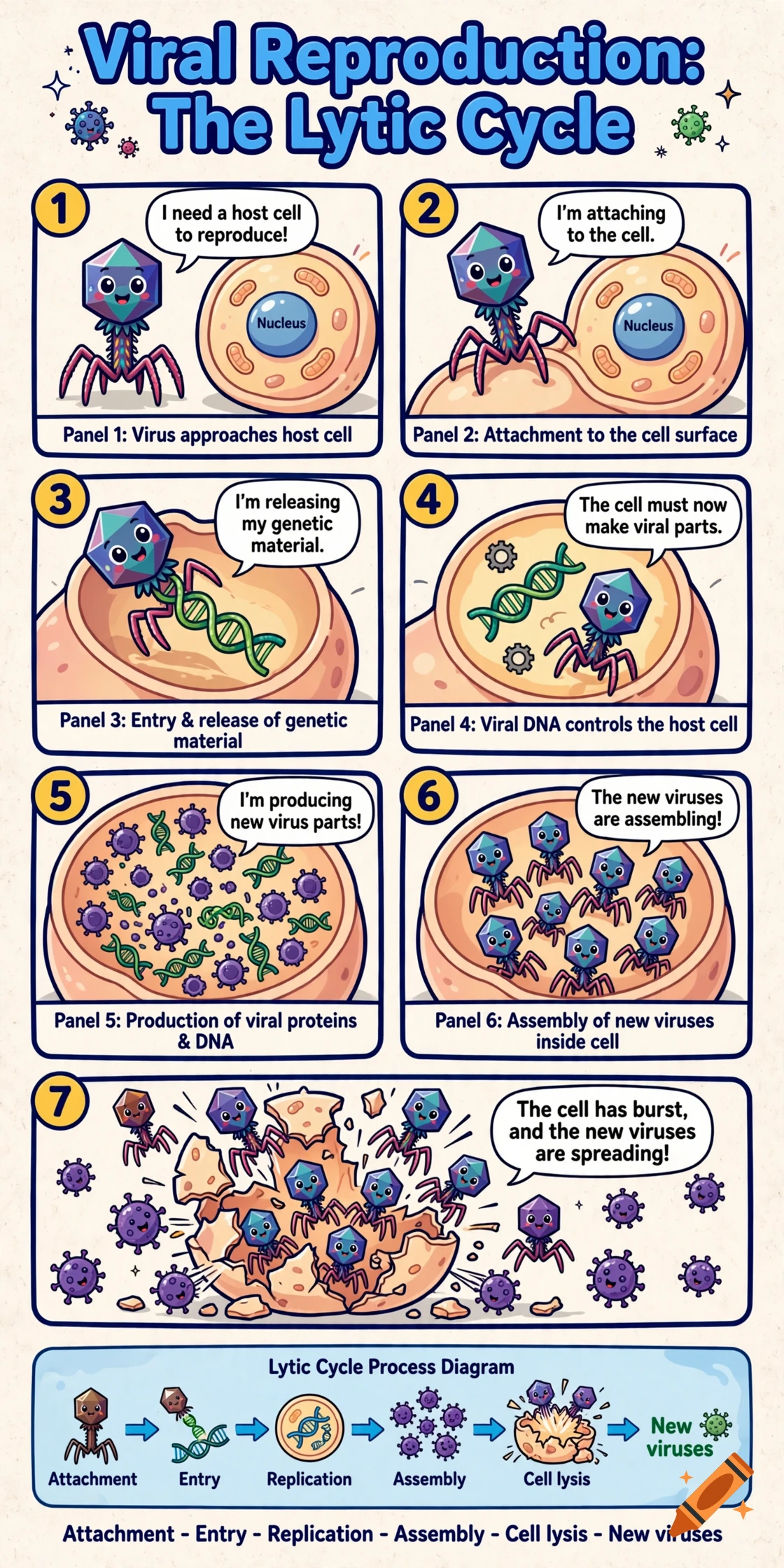 Educational comic strip illustrating the lytic cycle of viral reproduction in seven steps with cartoon virus characters.