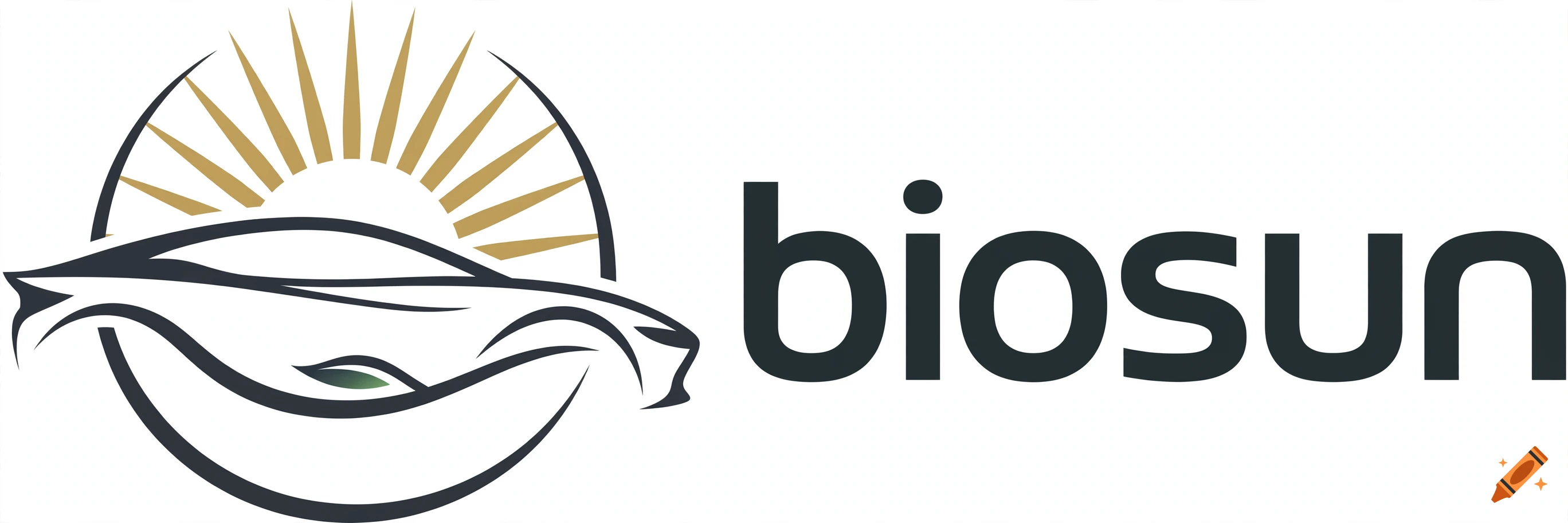 Logo design for 'biosun' featuring a stylized car silhouette inside a sunburst circle.