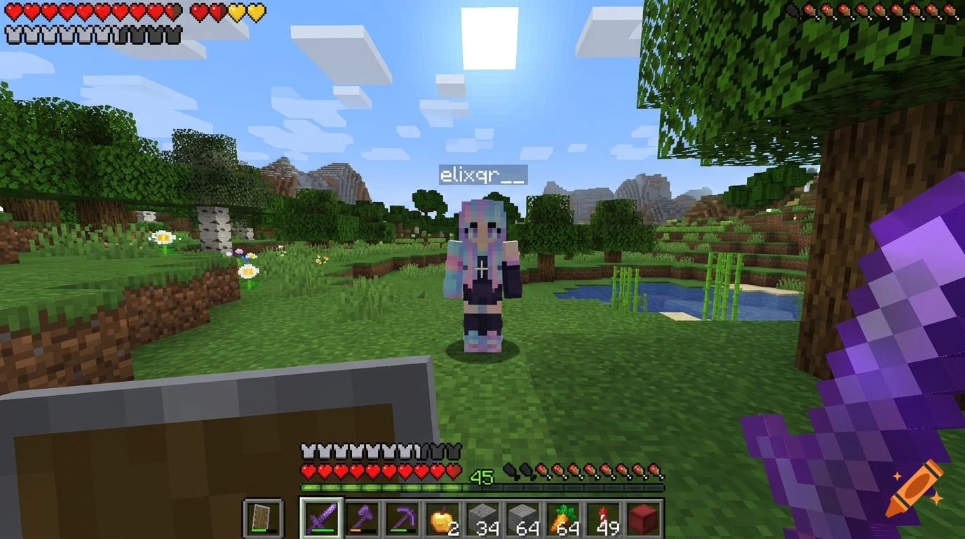 First-person Minecraft gameplay screenshot showing a player holding a netherite sword and shield in the overworld, with another player avatar in front.