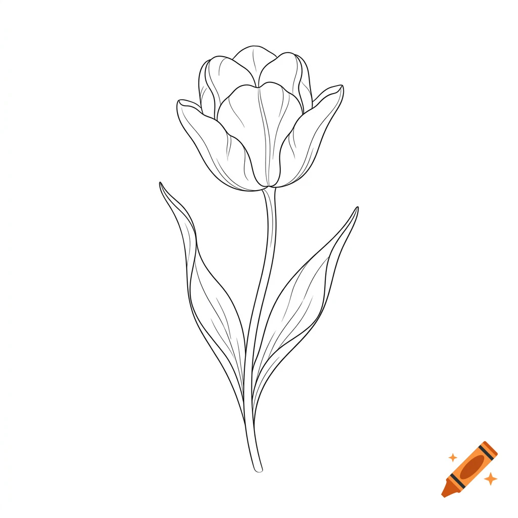 A simple black and white line drawing of a tulip flower with leaves on a white background.