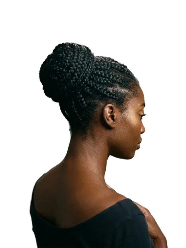 Background removed: A braided updo in profile