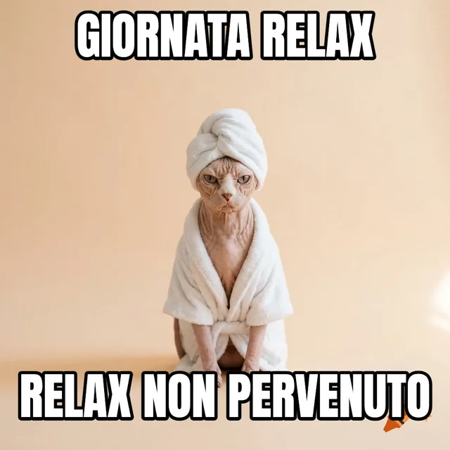 Giornata relax / Relax non pervenuto – Gatto Sphynx in accappatoio