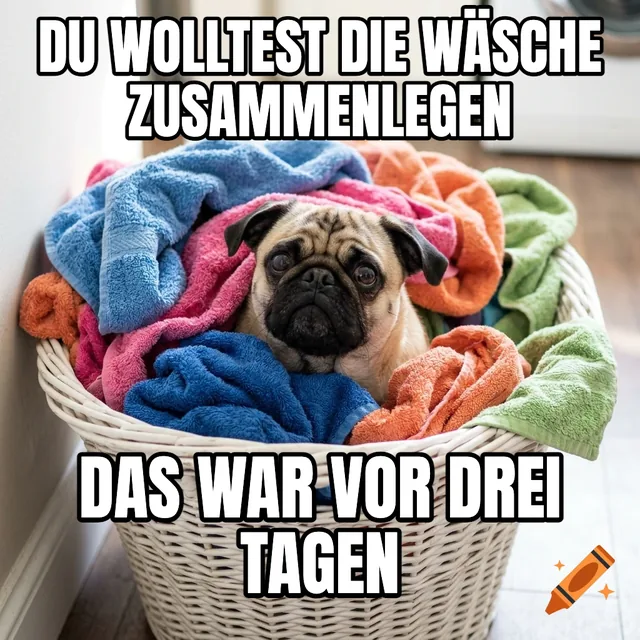 Du wolltest die Wäsche zusammenlegen / Das war vor drei Tagen – Mops im Weidenkorb