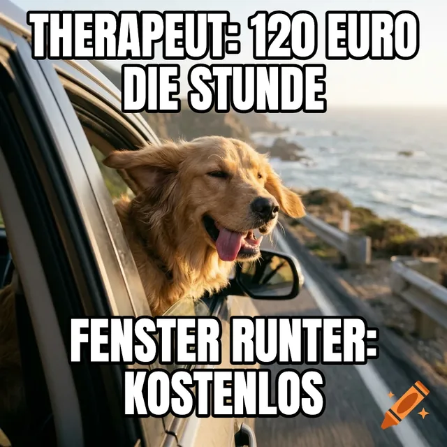 Therapeut: 120 Euro die Stunde / Fenster runter: kostenlos – Golden Retriever im fahrenden Auto