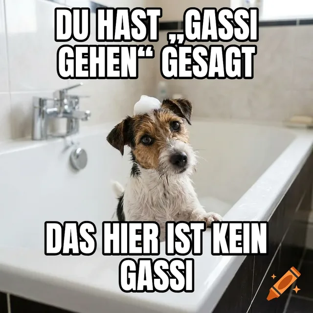 Du hast „Gassi gehen“ gesagt / Das hier ist kein Gassi – Nasser Terrier in der Badewanne