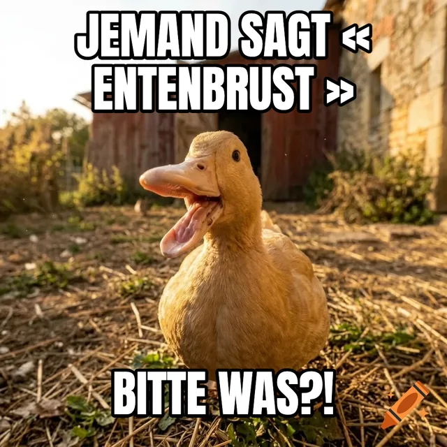 Jemand sagt « Entenbrust » / BITTE WAS?! – Beigefarbene Ente zur goldenen Stunde