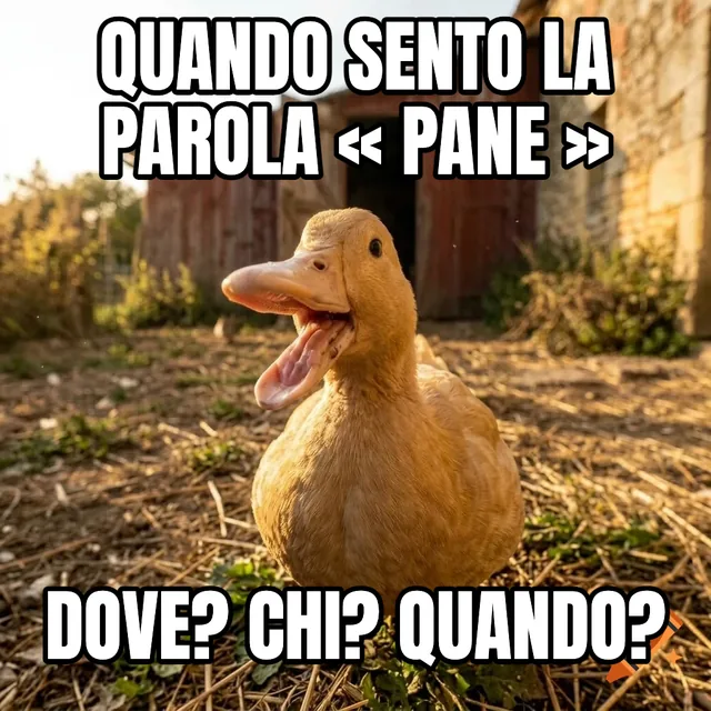 Quando sento la parola « pane » / DOVE? CHI? QUANDO? – Anatra color camoscio all'ora d'oro