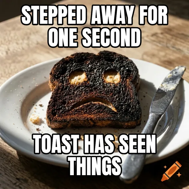 Stepped away for one second / Toast has seen things – Burnt Toast with Sad Face